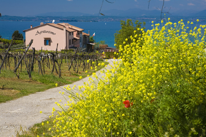 Agriturismo Al Bor Pacengo, Verona, Veneto, Italy, Europe