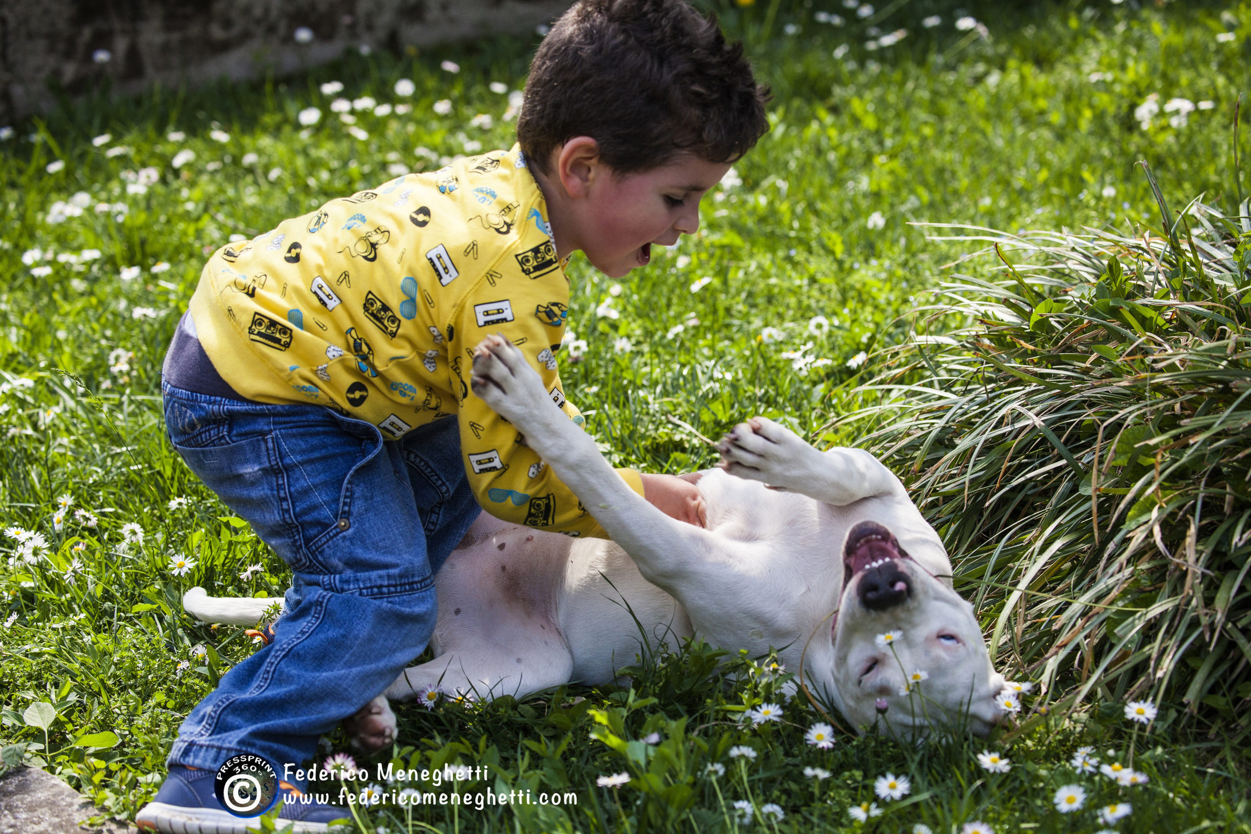 cane e bambino