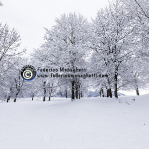 Foto Bosco innevato 50x70