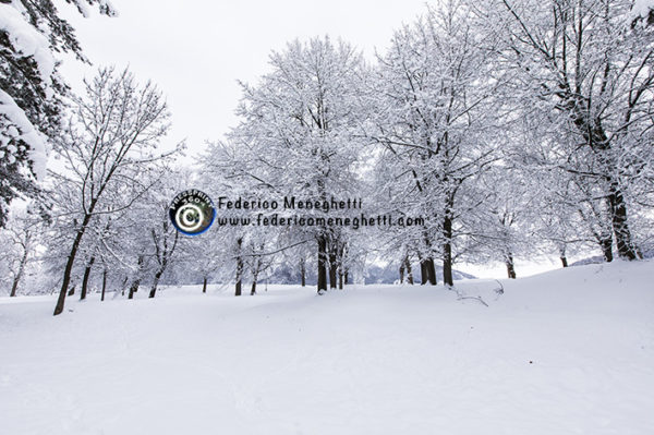 Foto Bosco innevato 50x70